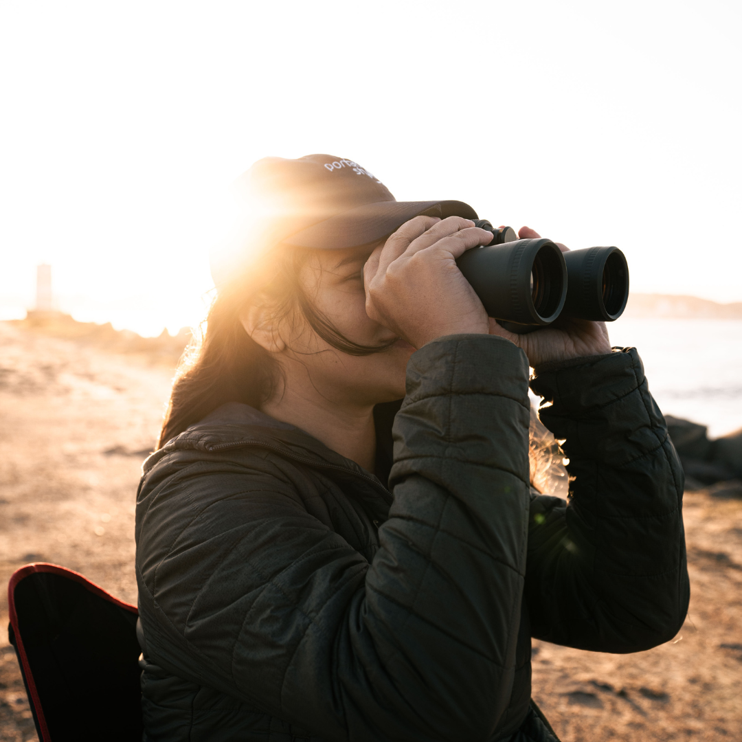 observar aves binóculos