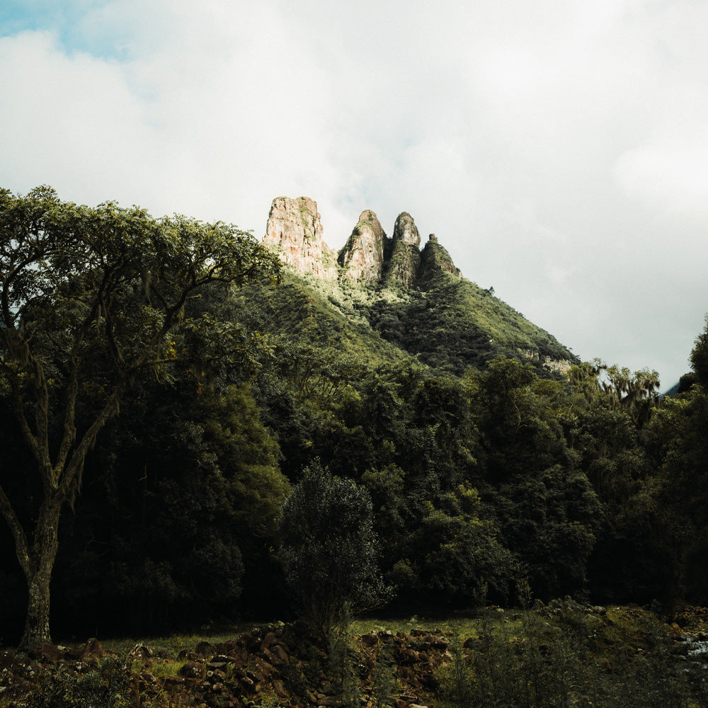 Temporada de Montanha 2026: Segurança e equipamentos essenciais