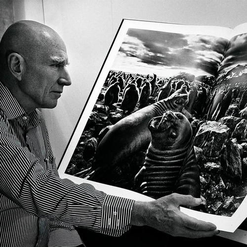 A arte de documentar: da fotografia ao reflorestamento – A natureza de Sebastião Salgado