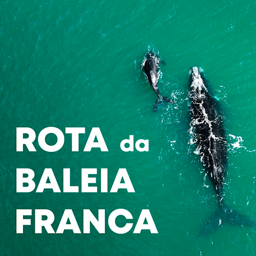 Rota da Baleia Franca