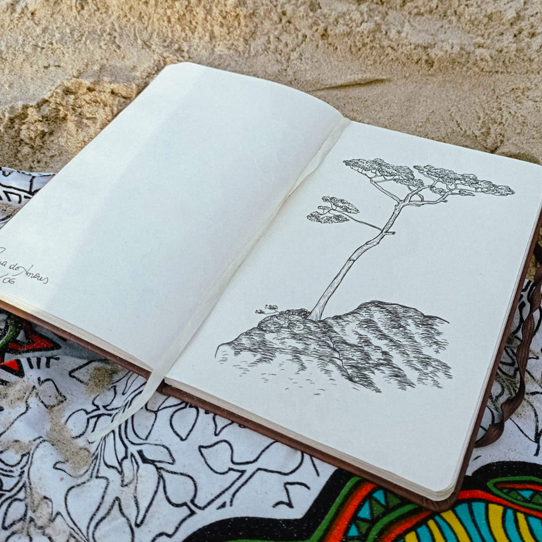 Porque a natureza pode te deixar mais criativo