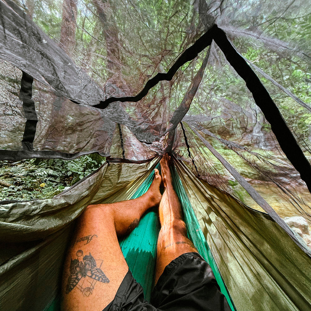 #cor_Araucária Verde