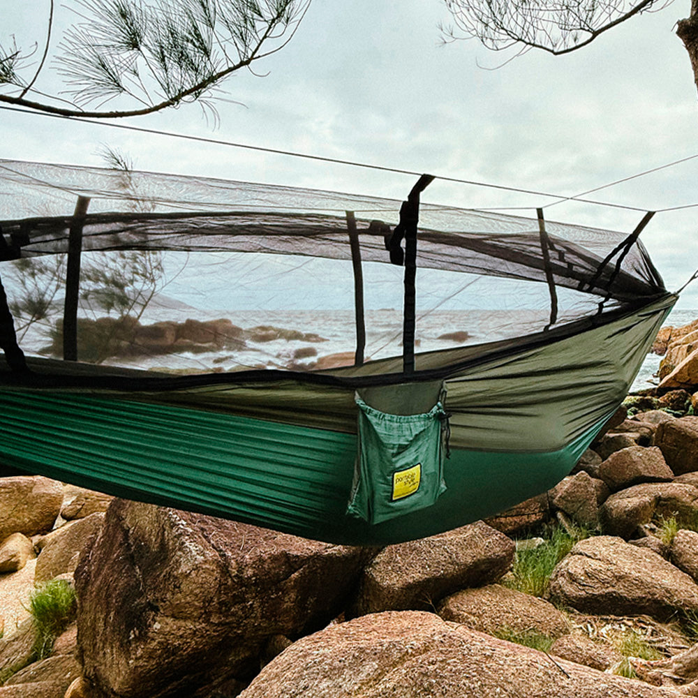 #cor_Araucária Verde