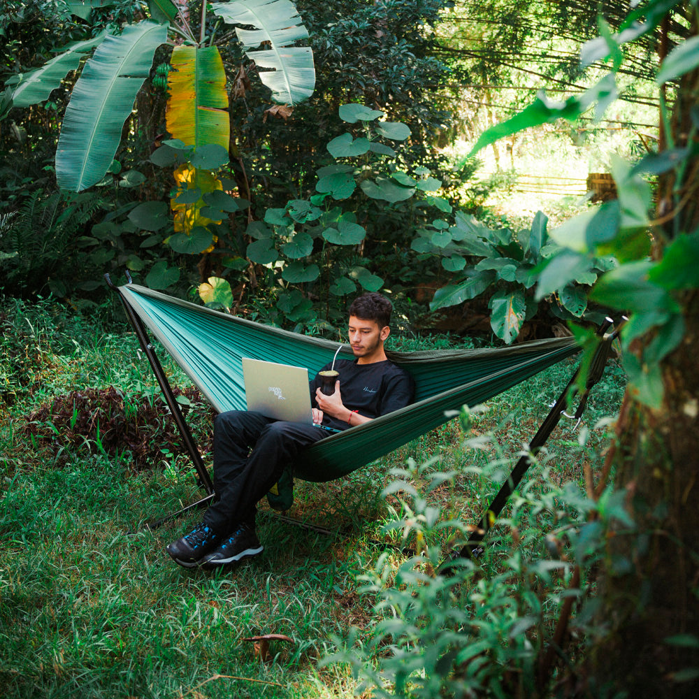 #cor_araucária verde